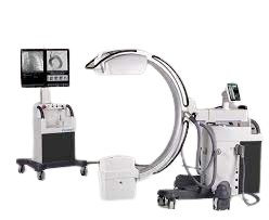 Persona_C-removebg-preview