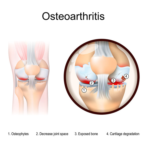 Pain Doc Near Me
